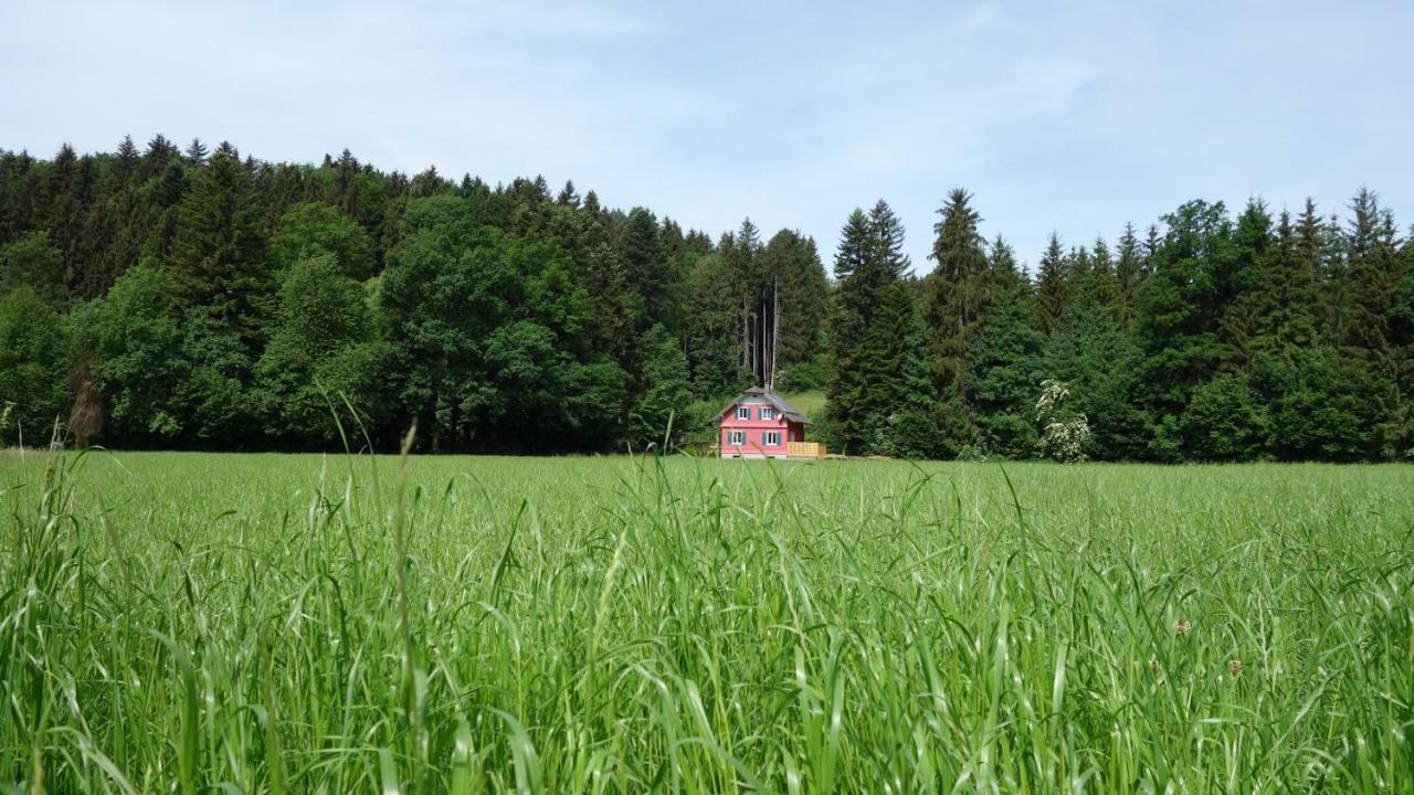 Erwins Ferien-Paradies Horbranz Exterior photo